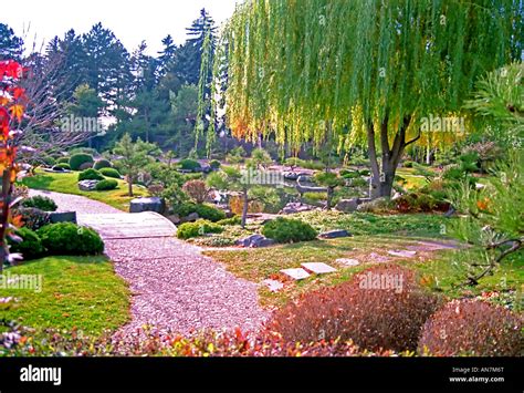 The lush and beautifully sculpted Denver Botanic Gardens in Colorado Stock Photo, Royalty Free ...