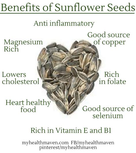 benefits-of-sunflower-seeds - My Health Maven