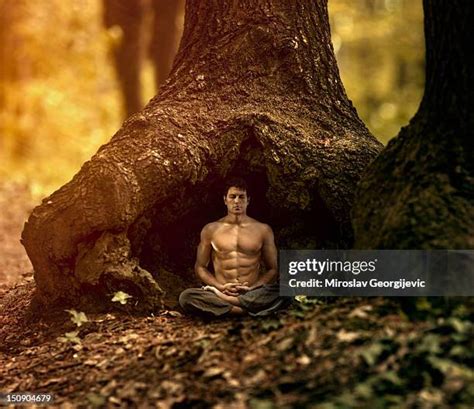 15,584 Yoga Tree Pose Stock Photos, High-Res Pictures, and Images ...