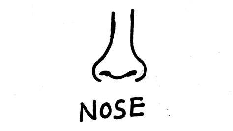 Nose drawing for kids || nose drawing simple - YouTube