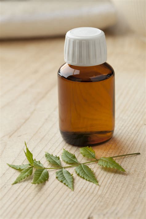 Neem Oil – Benefits of Neem Oil For Hair Growth – My Simple Remedies