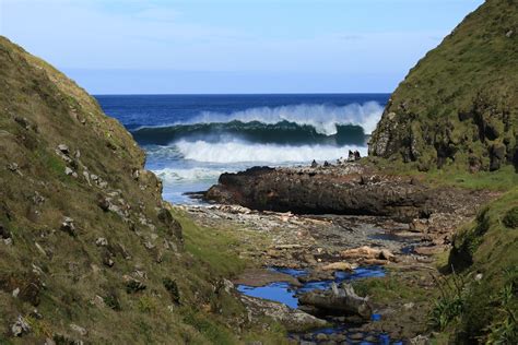 Elevation of Chatham Islands, New Zealand - Topographic Map - Altitude Map