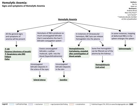 Hemolytic Anemia: Signs And Symptoms | Calgary Guide