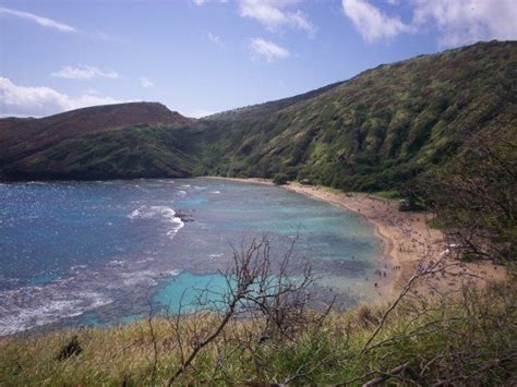 Hanauma Bay in Hawaii. You can see the coral reef. | Hanauma bay, Favorite places, Outdoor