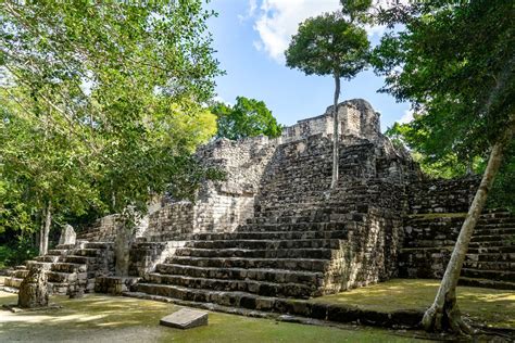 Calakmul pyramid | Cool places to visit, Mexico travel, Campeche