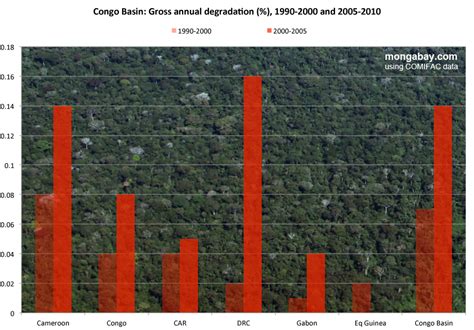 Deforestation increases in the Congo rainforest