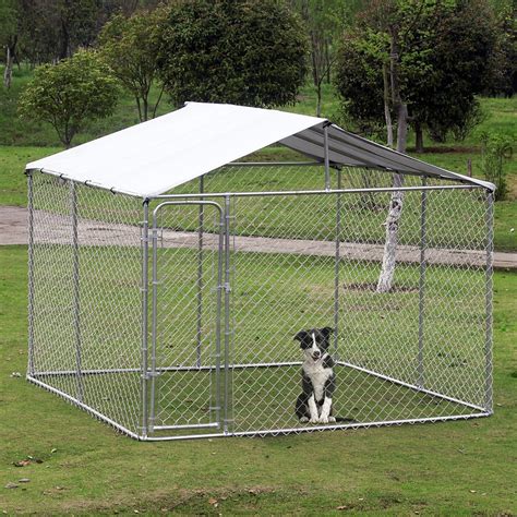 10 Must-Have Dog Cages for Your Outdoor Adventures: A Comprehensive ...