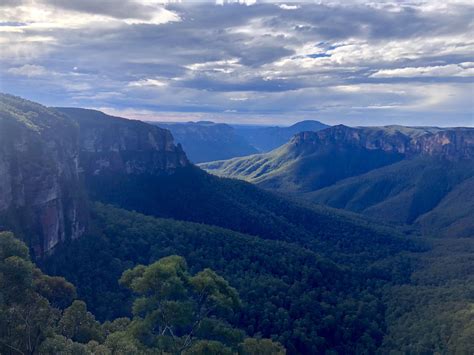 Bushwalk in the Blue Mountains west of Sydney. : r/australia