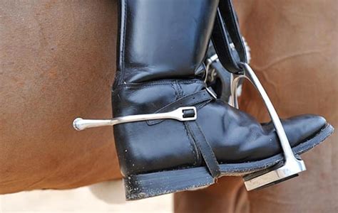 Horse Riding Spurs: Should You Really Be Using Them? – Horse FactBook