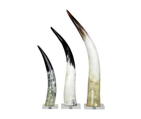 Cow Horns on Acrylic Stand Horn Sculpture Centerpieces Horns Modern Art Table Decor Horns ...