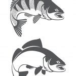 Fish Skeleton Icon Black White Stock Vector Image by ©SlipFloat #250352930