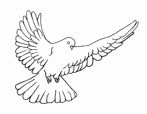 Dove Coloring Pages - Best Coloring Pages For Kids