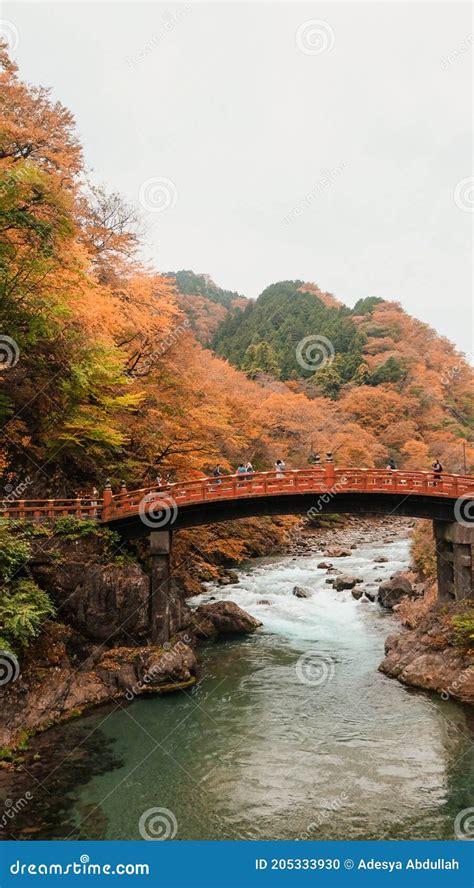 Shinkyo Bridge in Nikko Japan during Autumn Editorial Image - Image of water, river: 205333930