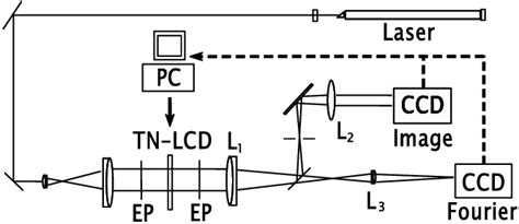 Scheme of the setup. A spatial light modulator, based on a TN-LCD ...