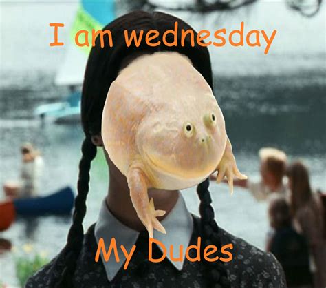 It's Wednesday Addams my dudes! : memes