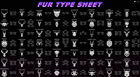 Complete guide about fur types! : r/theHunter