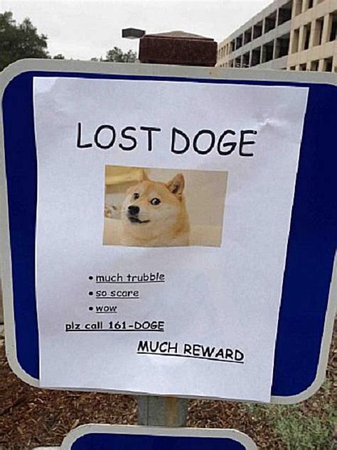 20 Funny Lost and Found Pet Posters