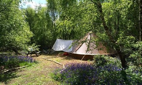 Sussex Glamping and Camping in Sussex | Uk campsites, Camping uk, Campsite