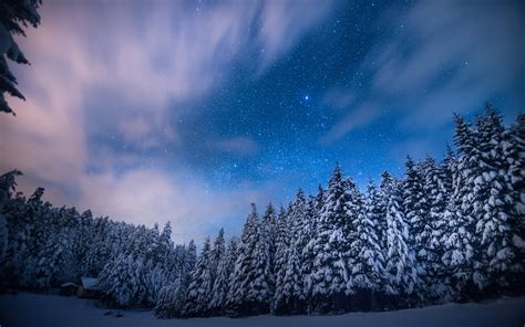 trees, Stars, Night, Snow, Winter, Forest, Sky, Clouds, Landscapes Wallpapers HD / Desktop and ...