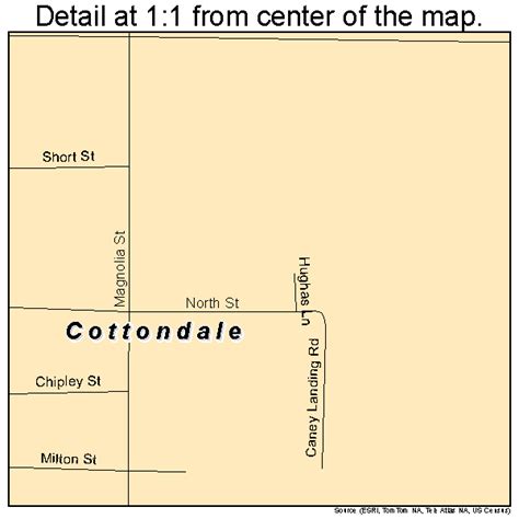 Cottondale Florida Street Map 1214850