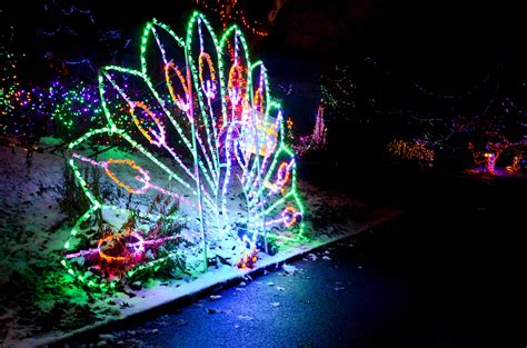 Christmas Lights At The Indianapolis Zoo Are Bigger Than Ever | The ...