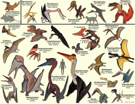 Name Of Flying Dinosaurs Types