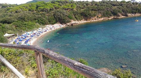 Beaches of the Island of Elba - ABC Elba