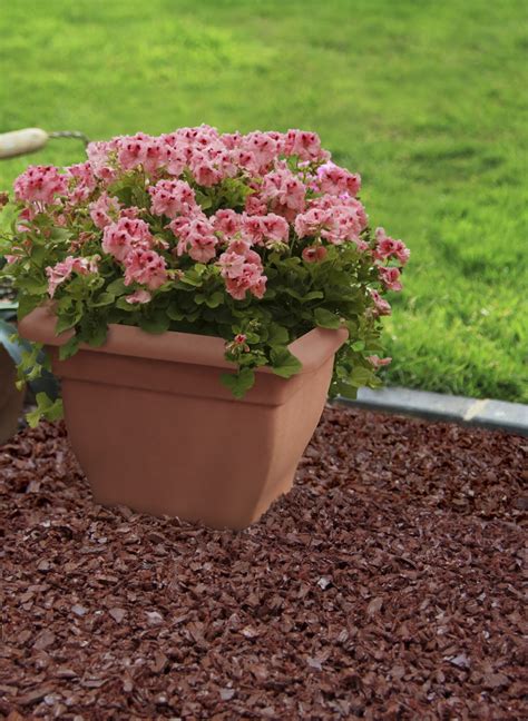 Here's How to Apply Mulch to Your Garden the Right Way! - Better ...