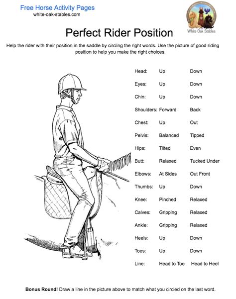 Perfect Rider Position – Activity Page | Horse riding tips, Horseback riding tips, Horse camp