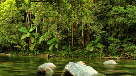 Cairns, Grande Barrière et Rainforest - Terra Australia