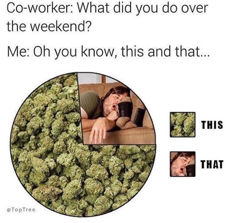 69 Weed Memes That Rip Harder Than Your Bong - Funny Gallery | eBaum's ...