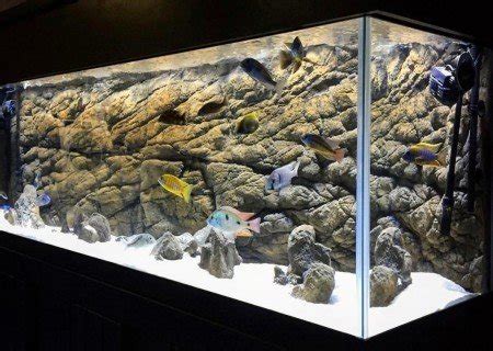 Universal Rocks Rocky 3d Aquarium Background - Aquarium Views