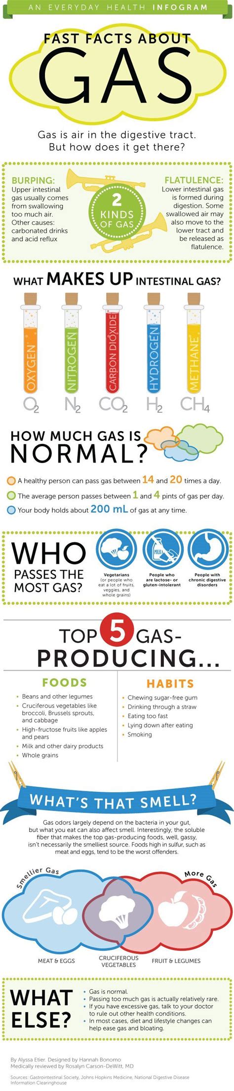 Fast Facts About Gas: Infographic | Everyday Health