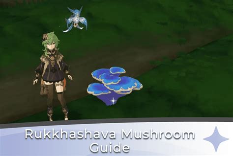 Rukkhashava Mushroom Guide - Genshin Impact - Genshin Chronicle