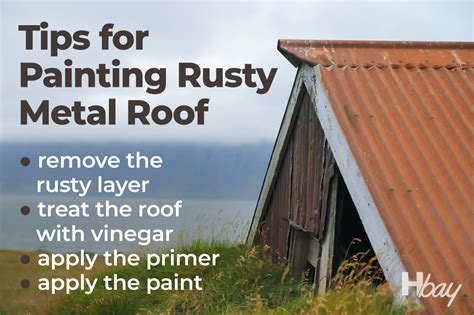 Tips For Painting Rusted Galvanized Metal Roof - Housekeepingbay