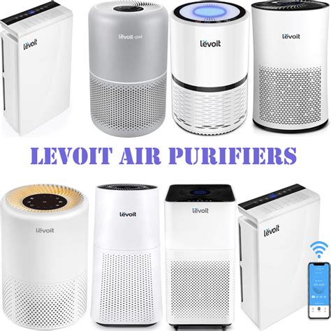 Best LEVOIT Air Purifiers Reviews