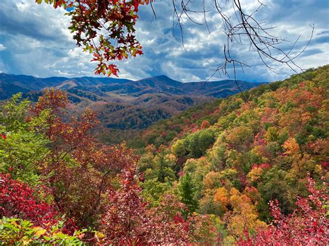 Great Smoky Mountains National Park, Tennessee [4032x3024] [OC] : r ...