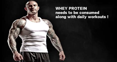 Side effects of Whey Protein - Whey-Protein.in