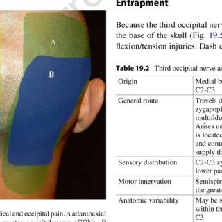 (PDF) Lesser Occipital Nerve Entrapment