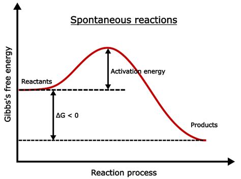 When is a reaction spontaneous? - PSIBERG