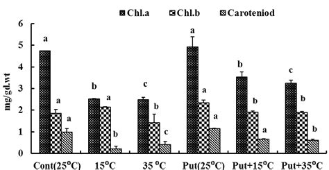 Effect of putrescine on photosynthetic pigments of 17 days old ...