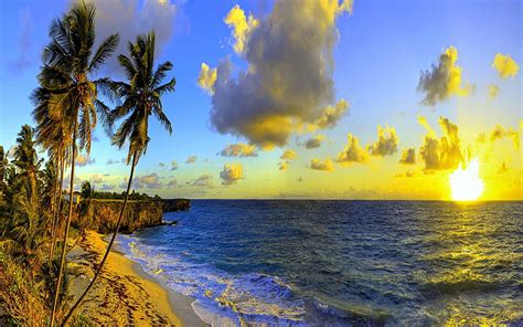 BOTTOM BAY BEACH, Barbados, summer, Caribbean, palms, HD wallpaper | Peakpx