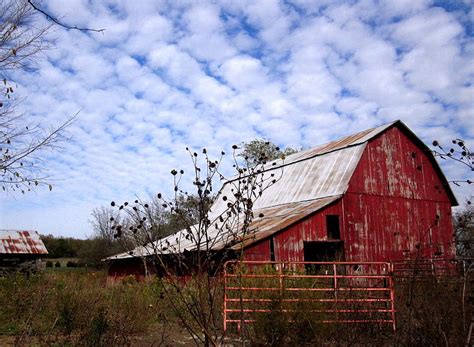 Barnyard . Barnyard , Barnyard Animals Background and Barnyard Biggie Cheese, Spring Barn HD ...