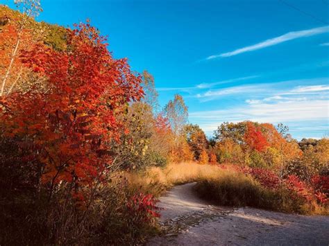 5 parks to see stunning fall foliage in Toronto (PHOTOS) | Lifestyle