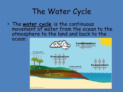 PPT - The Hydrosphere PowerPoint Presentation, free download - ID:3929507