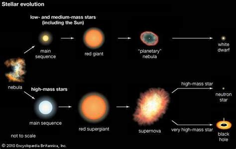 Star - Star formation and evolution | Britannica.com