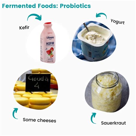 Probiotics Part 1: Probiotic Food - Cancer Dietitian