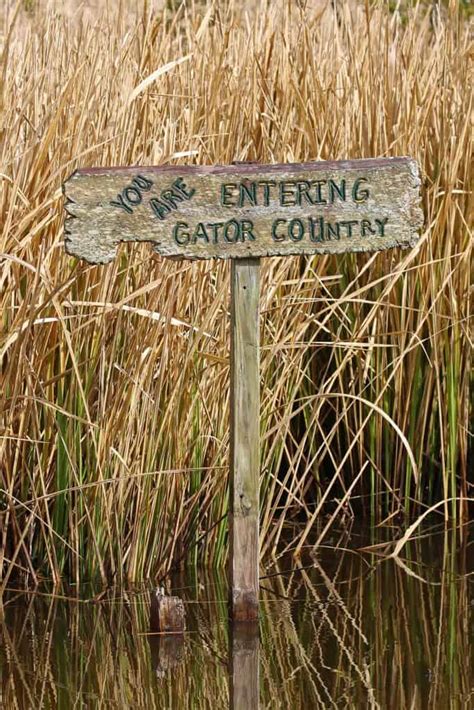 Jean Lafitte National Historical Park and Preserve - Park Ranger John