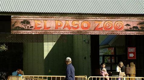 El Paso Families Can Enjoy The El Paso Zoo After Hours In July