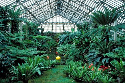 Garfield Park Conservatory | Chicago, IL | Attractions in East Garfield ...